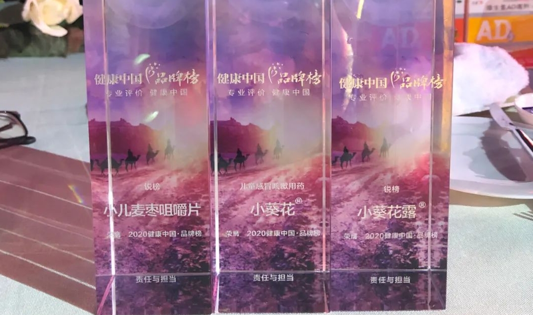 小葵花綻放西普會(huì)，榮獲三項(xiàng)大獎(jiǎng)